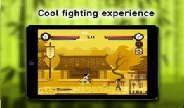 中国功夫小子爆料视频,独家爆料幕后训练与成长历程